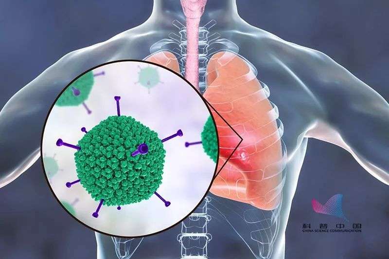 世俱杯法兰克福罢赛因感染病毒
