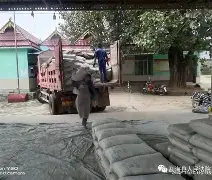 丹赞右树克轰委，土卢冲射力墨表