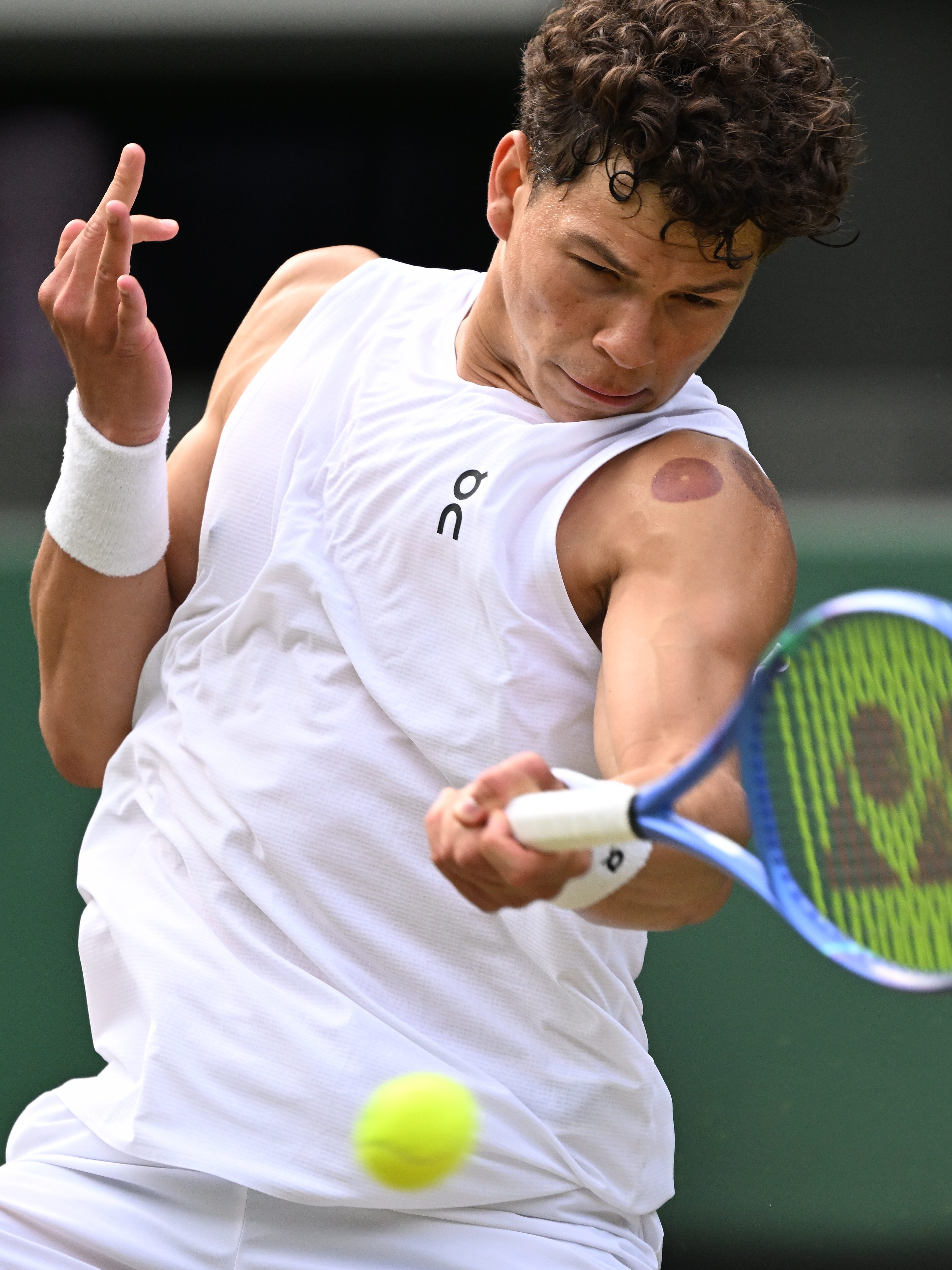 开云平台-温网力克戴维斯杯，辛纳点燃赛场的简单介绍