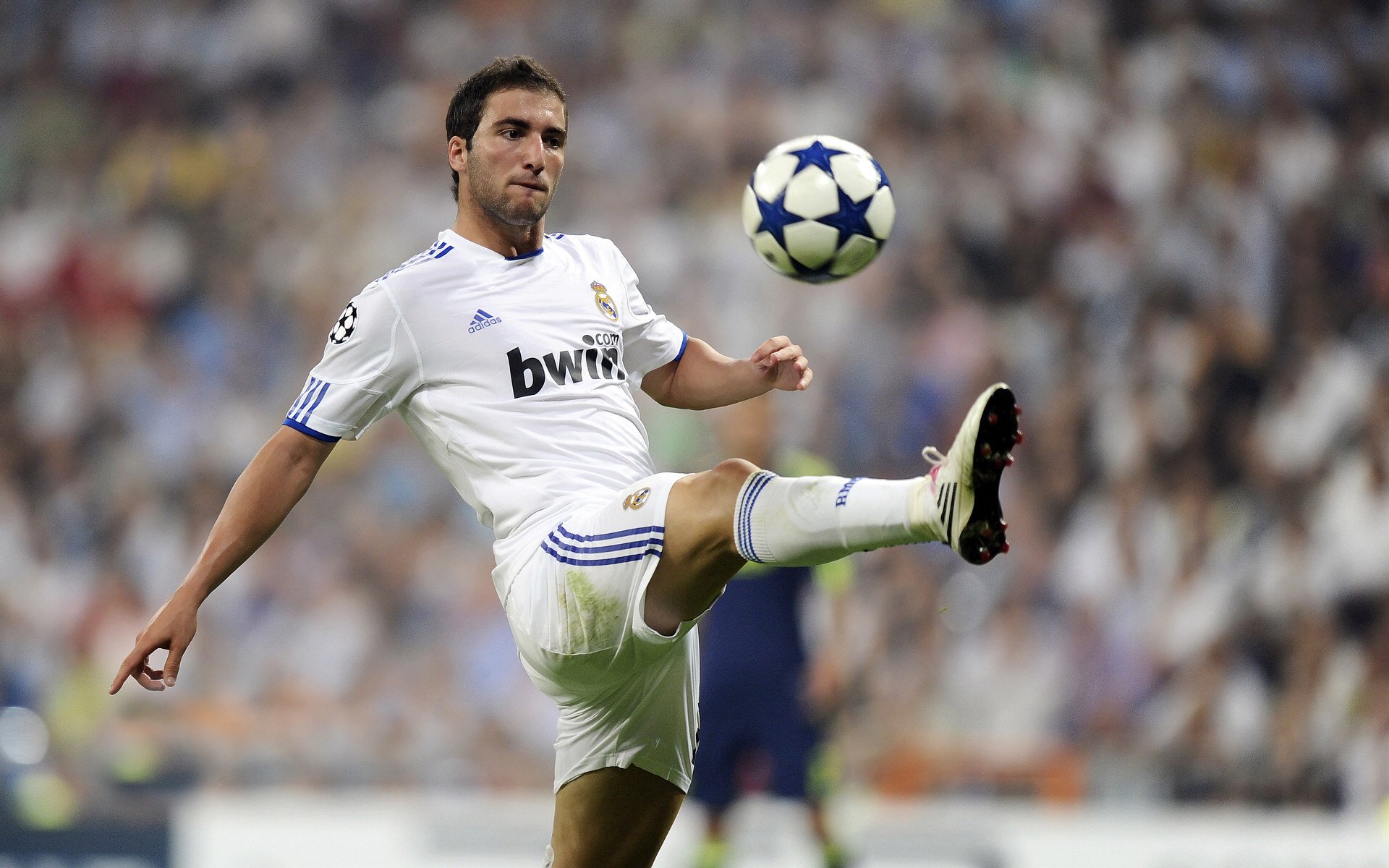 开云APP-冷门数据揭示网坛真相，为何拉沃尔杯的碾压比法网冠军更动人？